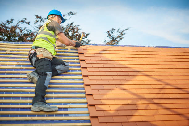 Best Skylight Installation and Repair  in Elliston, VA